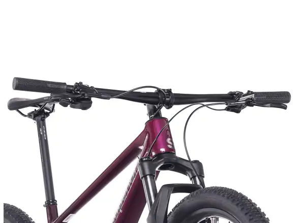 Superior XP 9.2  horské kolo Gloss Purple