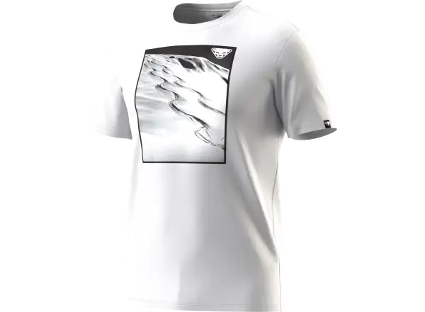 Dynafit Graphic Cotton pánské triko krátký rukáv Nimbus/First Track