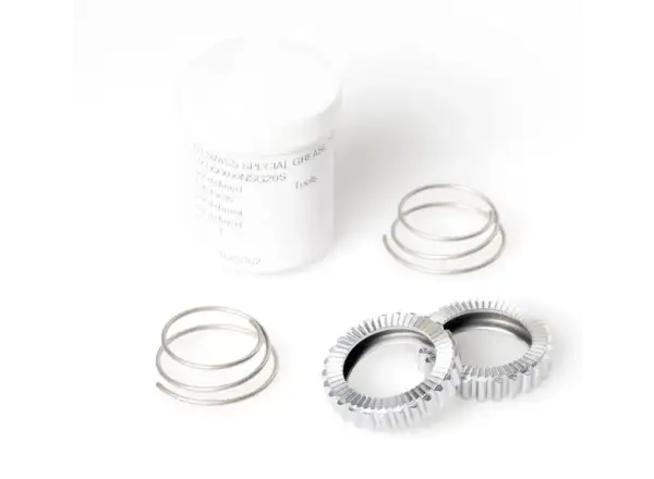 DT Swiss Ratchet system SL36 Superlight upgrade kit