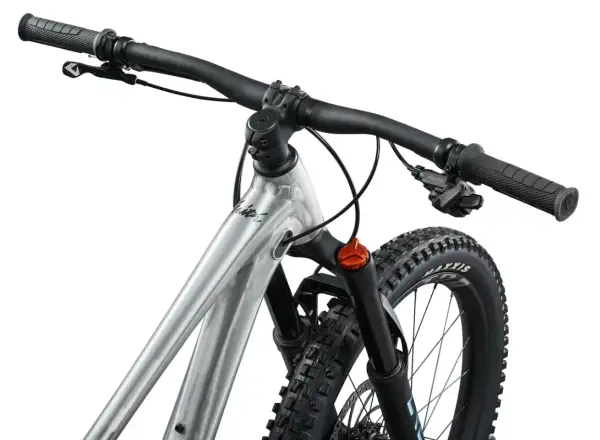 Giant Faith 24 dětské celoodpružené kolo Raw Aluminium