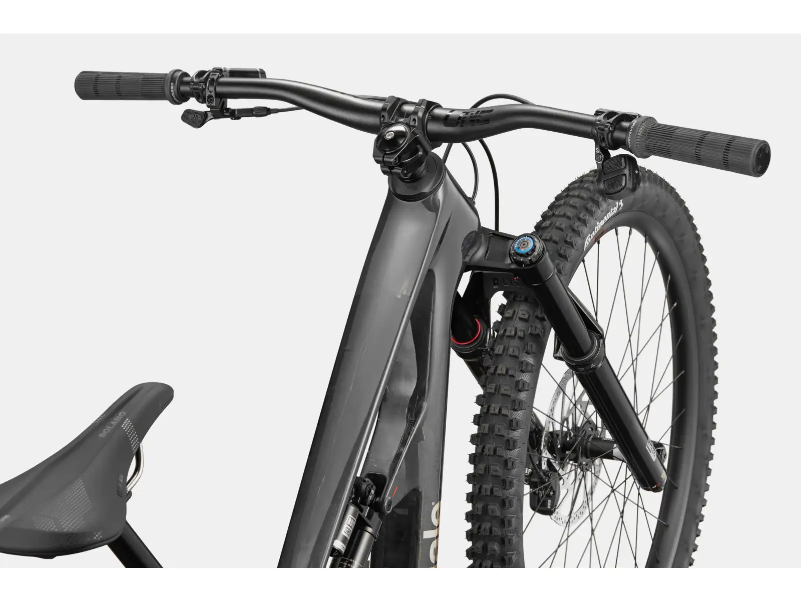 Cannondale Bad Habit 1 horské kolo RAW Carbon