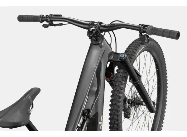 Cannondale Bad Habit 1 horské kolo RAW Carbon