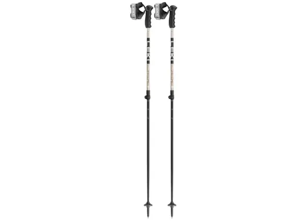 Leki Detect S Vario sjezdové hole Warm Grey Light/Warm Grey Dark/Black