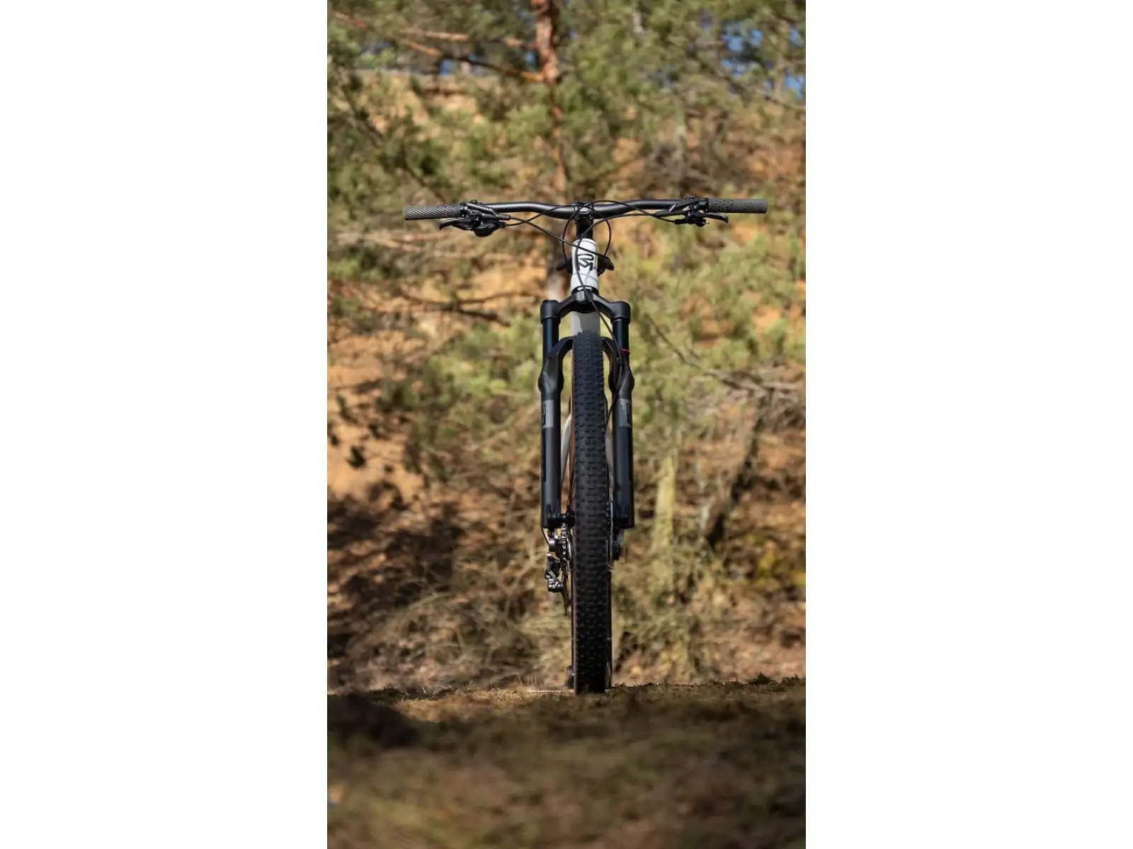 Rock Machine Blizz Cr 70 horské kolo Gloss Limerock Grey