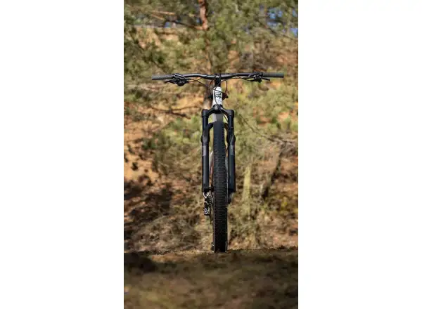 Rock Machine Blizz Cr 70 horské kolo Gloss Limerock Grey