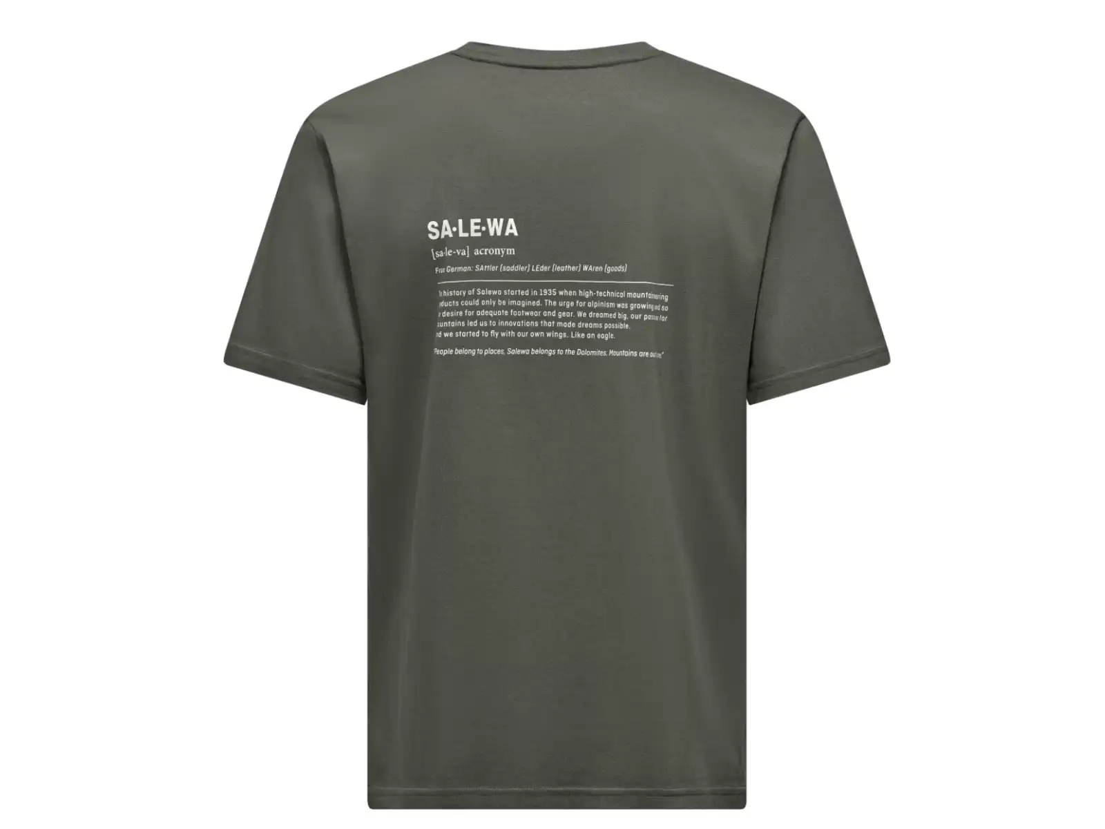 Salewa Eagle Vocab pánské triko krátký rukáv Faded Green