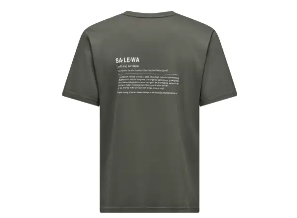 Salewa Eagle Vocab pánské triko krátký rukáv Faded Green