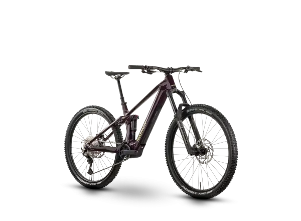 Raymon Airok Comp celoodpružené elektrokolo floridplum/sulfur