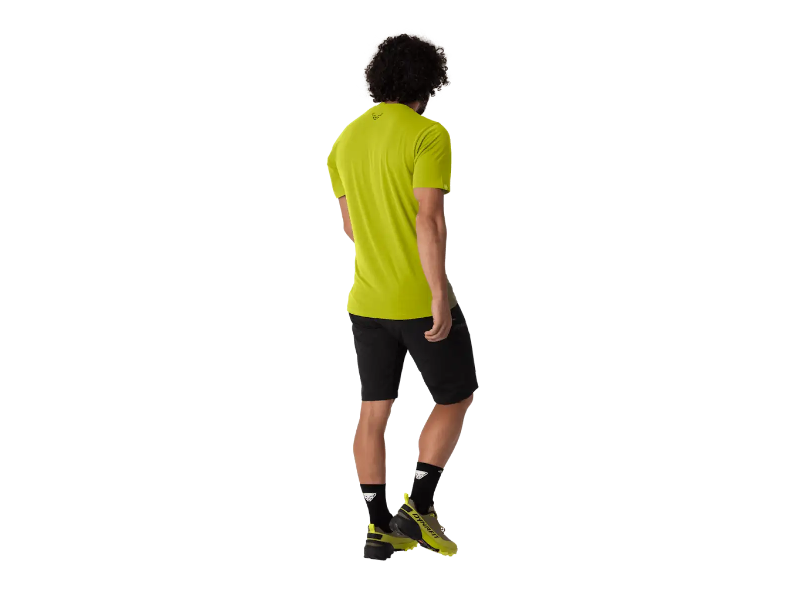 Dynafit Transalper Graphic pánské triko krátký rukáv Golden Lime