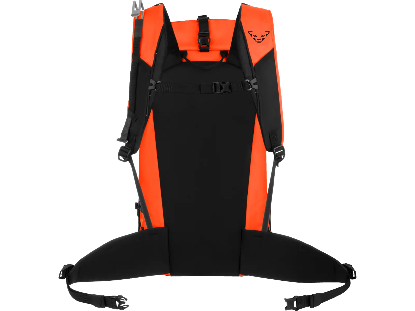 Dynafit Expedition batoh 36 l Dawn/Black Out