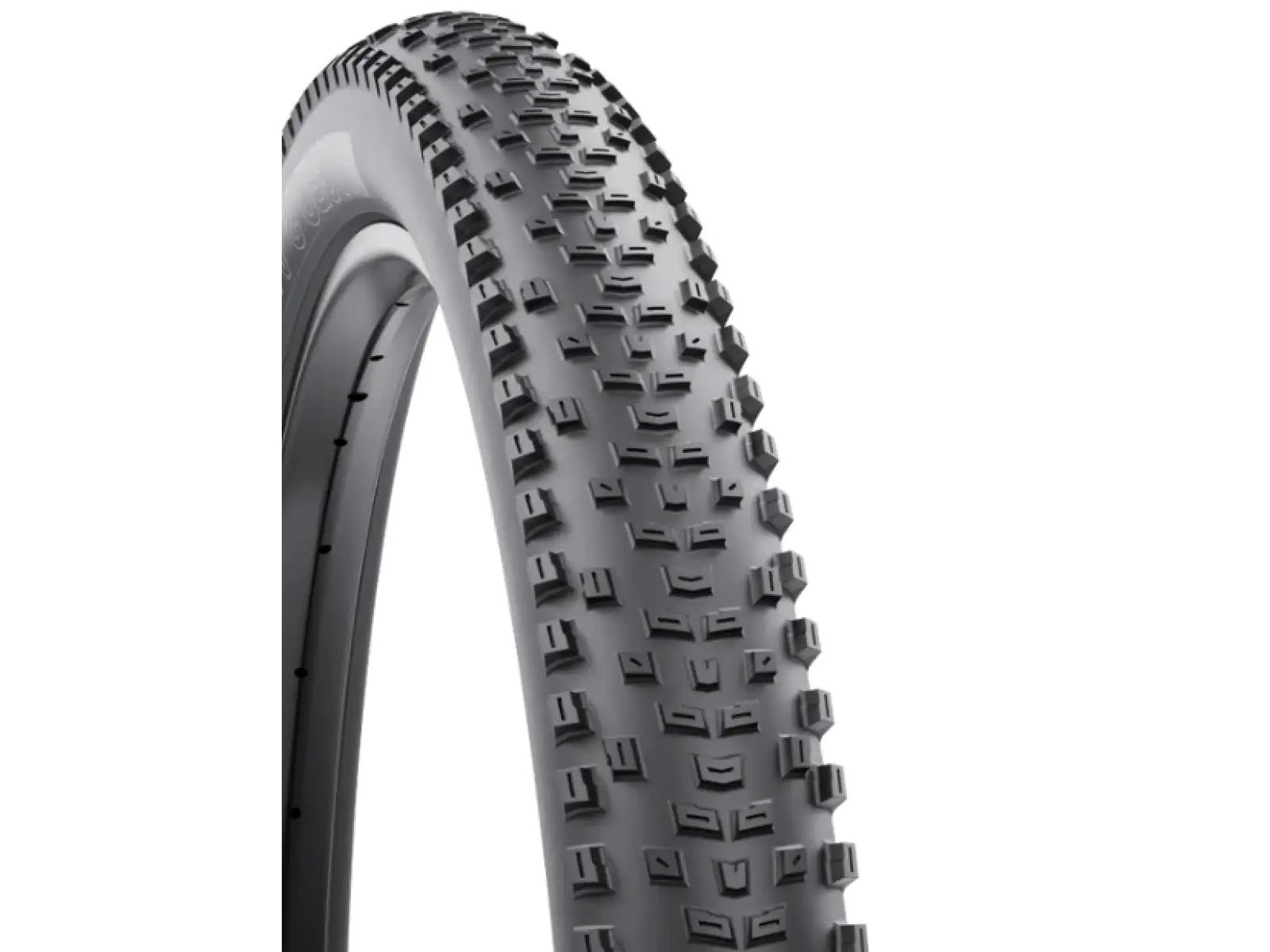 WTB Macro TCS Light Fast Rolling SG 29'' MTB plášť kevlar černá