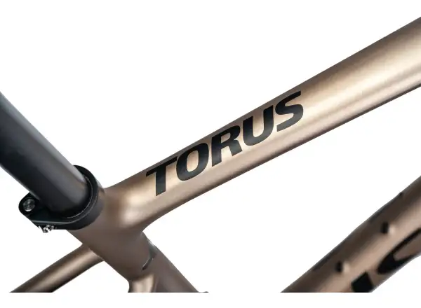 Isaac Torus Xplore GRX610/RX820 2x12 gravel kolo Blast Bronze