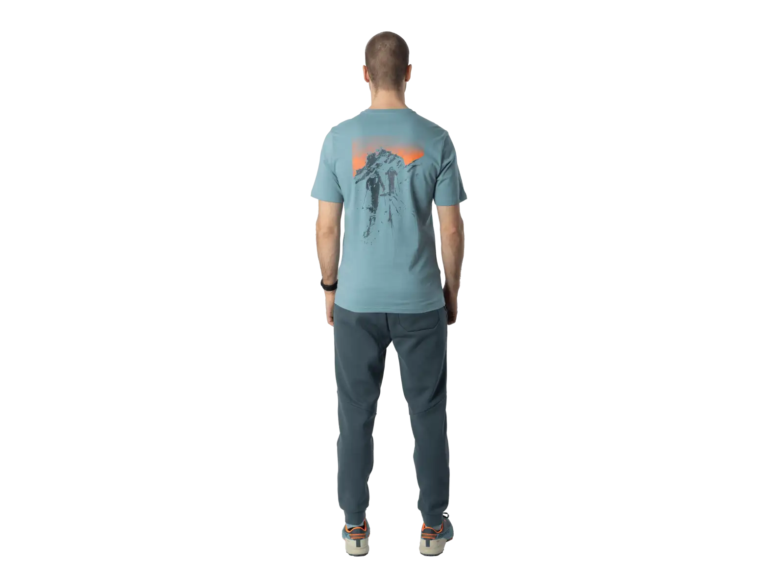 Dynafit Back Graphic Cotton pánské triko krátký rukáv Smoke Blue/Approach