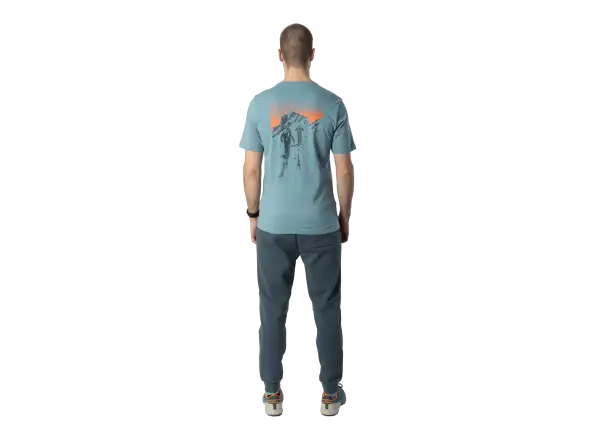 Dynafit Back Graphic Cotton pánské triko krátký rukáv Smoke Blue/Approach