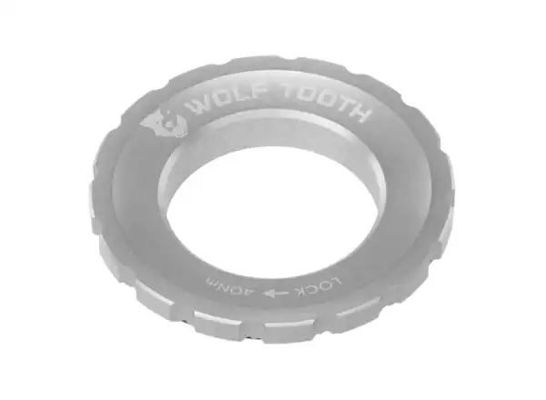 Wolf Tooth matice Centerlock Rotor raw stříbrná