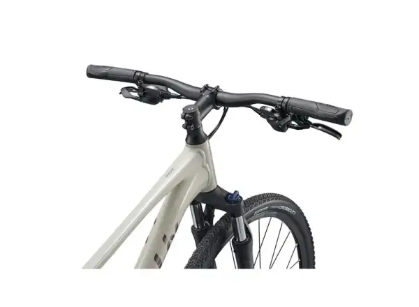 Giant Rove 3 trekingové kolo Pulp Gray