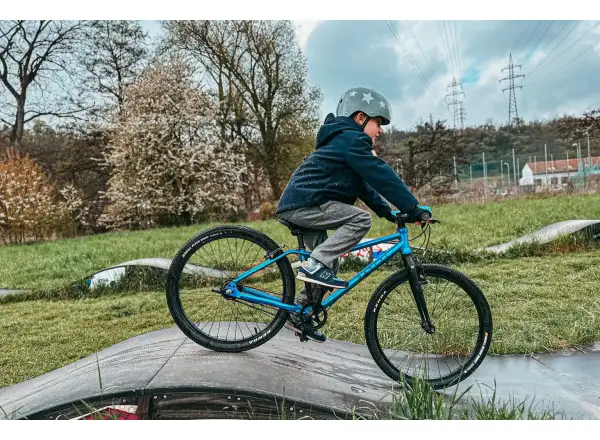 Rascal 24 7 sp. Shimano Nexus dětské kolo Aquamarin