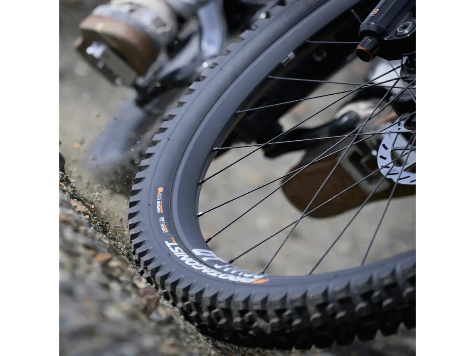Pirelli CAST Protagonist DW, SmartEVO DH, 29x2.4, MTB plášť černý