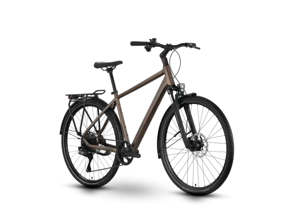 Raymon Zayn Auto Diamond trekingové kolo Mushroom/Black