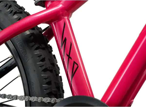 Liv STP 20 dětské horské kolo Hot Pink