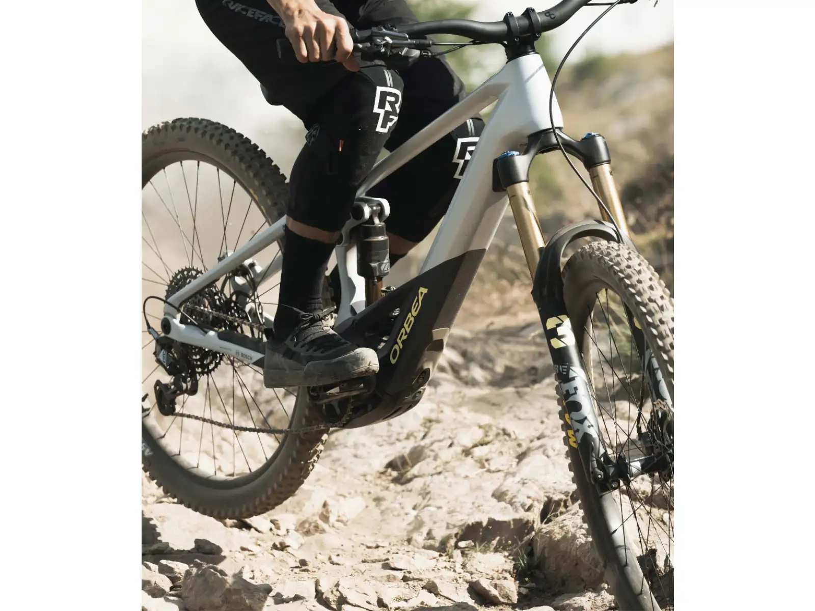 Orbea Wild M20 horské elektrokolo Halo Silver/Tanzanite Carbon