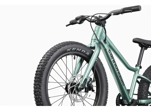 Cannondale Kids Trail Plus 20 dětské kolo Cactus Green