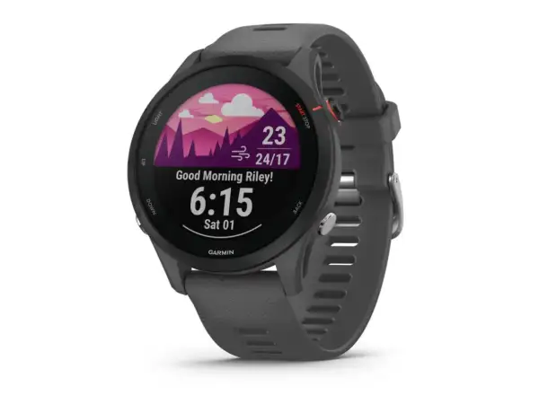 Garmin Forerunner 255 chytré hodinky Slate Gray