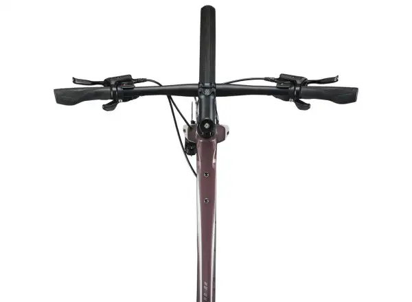 Giant FastRoad AR 3 fitness kolo charcoal plum