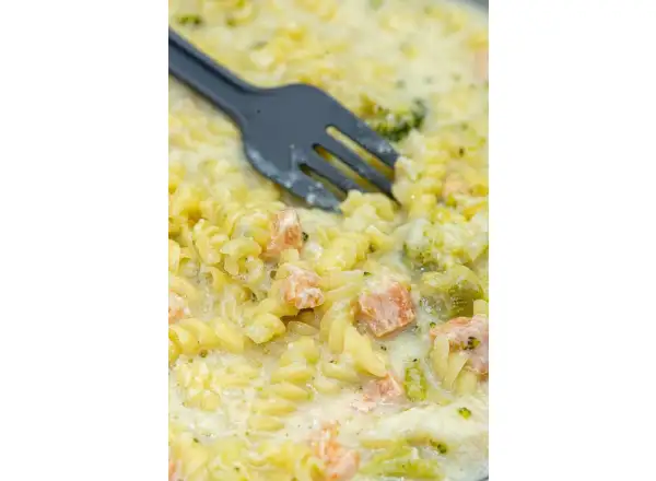 Summit To Eat dehydrované jídlo Losos s těstovinami a brokolicí 117 g