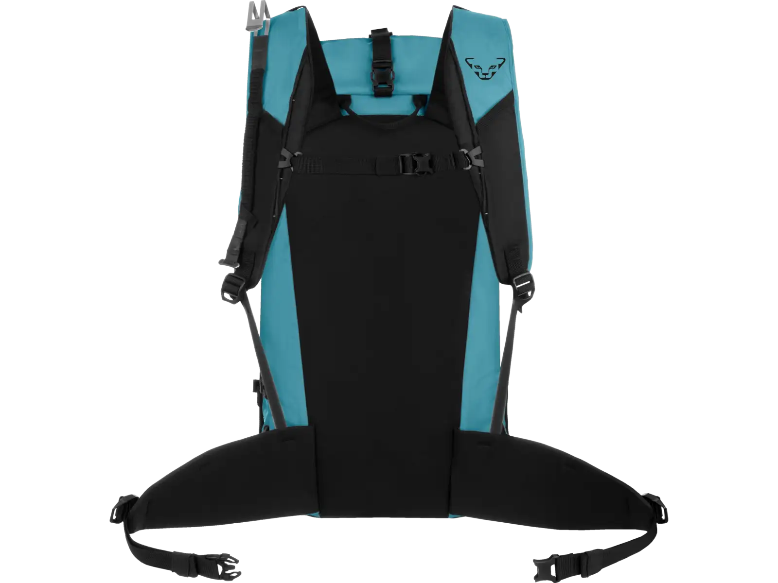 Dynafit Expedition batoh 36 l Storm Blue/Blueberry
