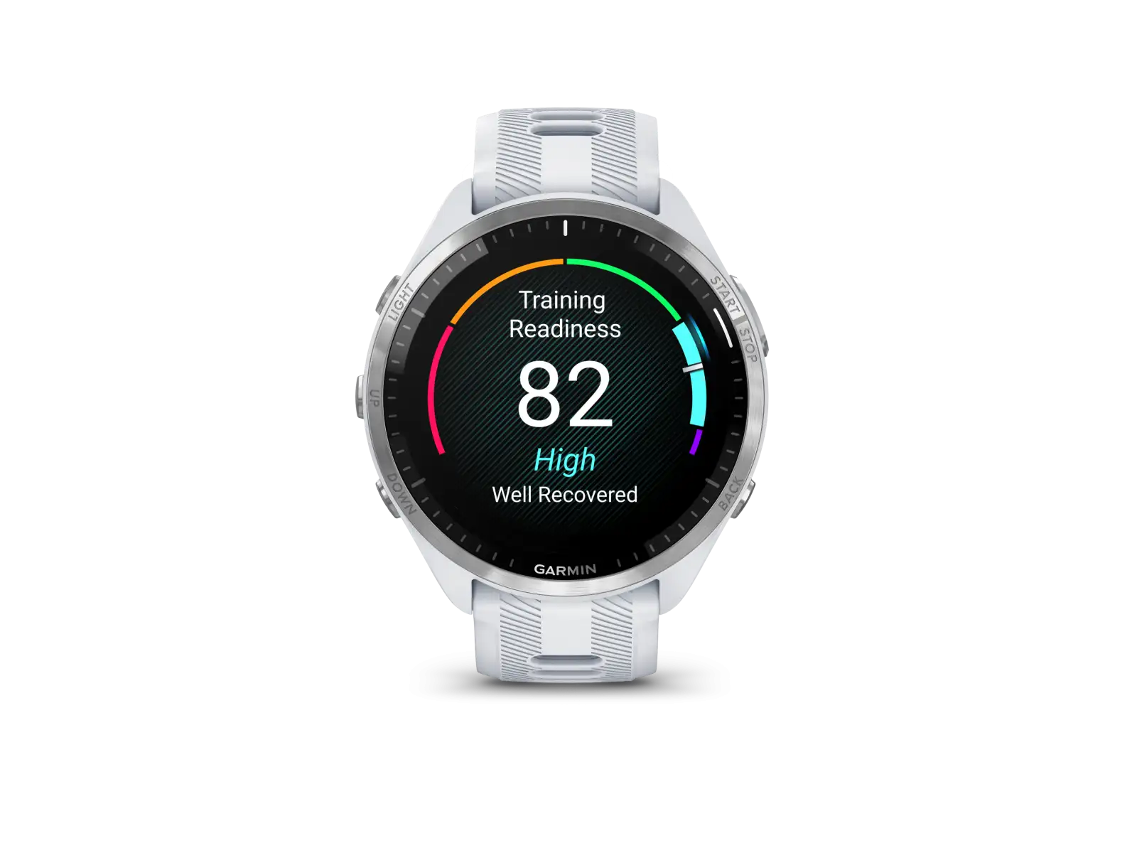 Garmin Forerunner 965 chytré hodinky Silver Titan/White