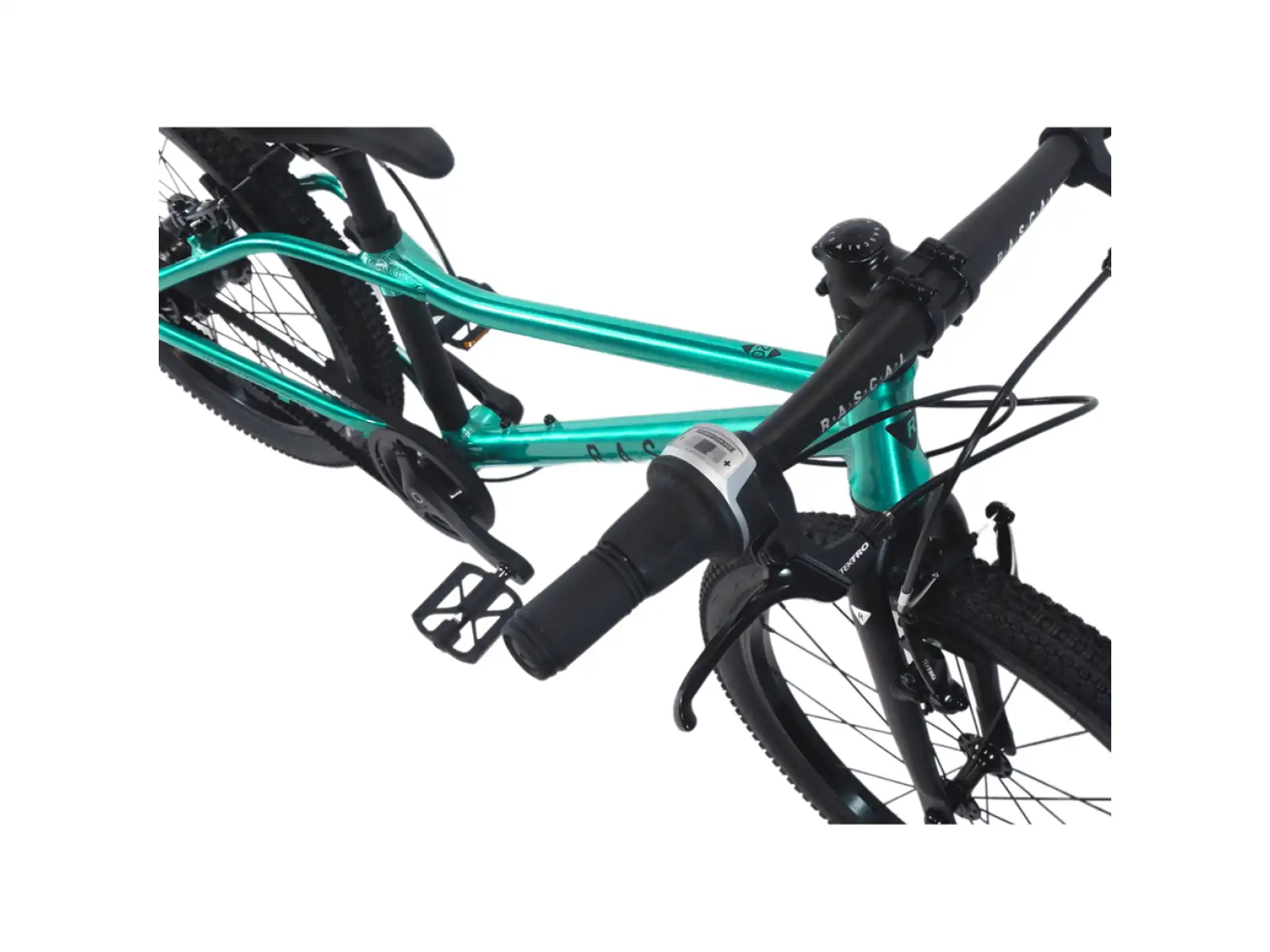 Rascal 20 Limited dětské kolo Emerald