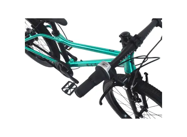 Rascal 20 Limited dětské kolo Emerald