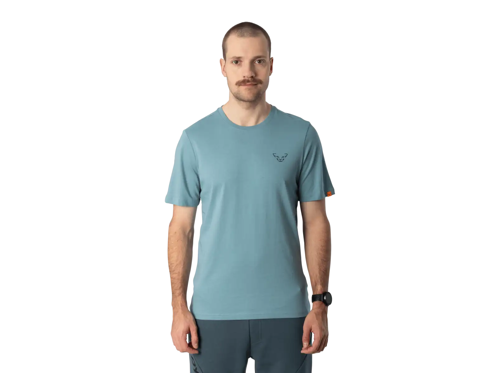 Dynafit Back Graphic Cotton pánské triko krátký rukáv Smoke Blue/Approach