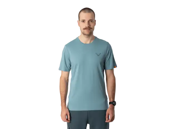 Dynafit Back Graphic Cotton pánské triko krátký rukáv Smoke Blue/Approach