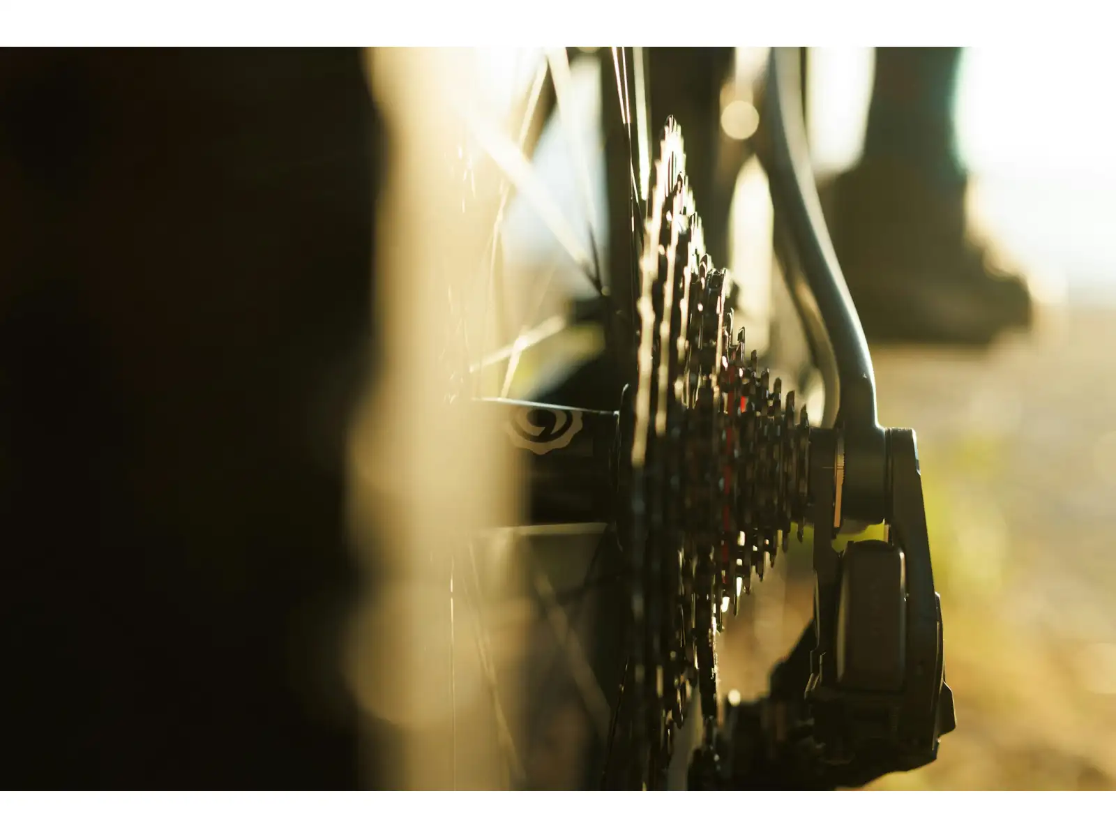 Ibis Ripley V5 XTR Di2 horské kolo Green Flash