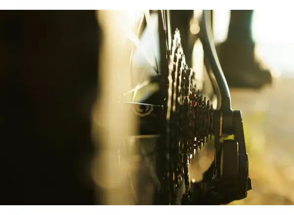 Ibis Ripley V5 XTR Di2 horské kolo Green Flash