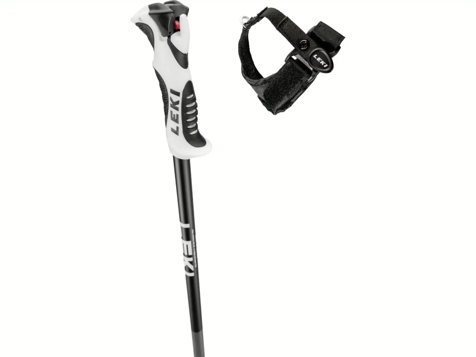 Leki Bold S sjezdové hole Dark Anthracite/Black/White