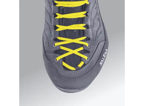 Salewa Alp Trainer 2 GTX pánské boty Bungee Cord/Black