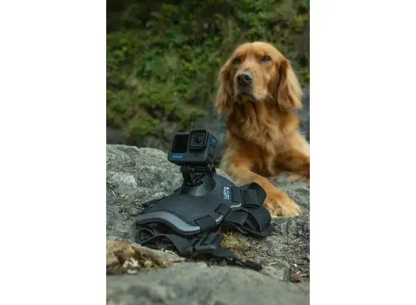 GoPro Psí postroj