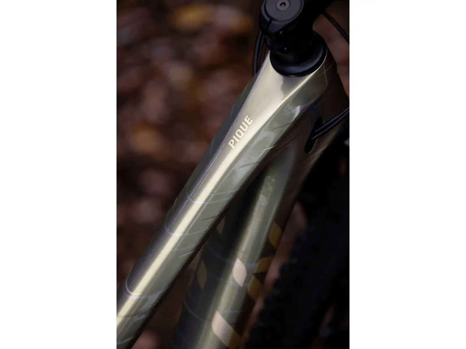 Liv Pique Advanced 29 2 horské kolo Golden Haze