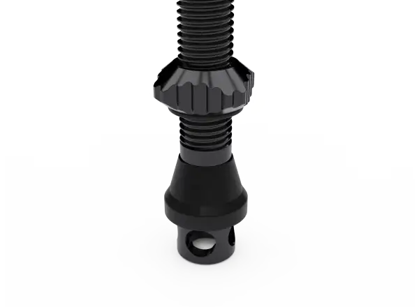WTB  TCS AL Max-Flow Presta Valve bezdušové ventilky 55 mm černá 2 ks