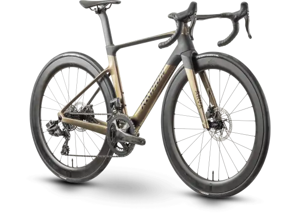Raymon Arva Elite 26S Record silniční kolo carbon/champagne