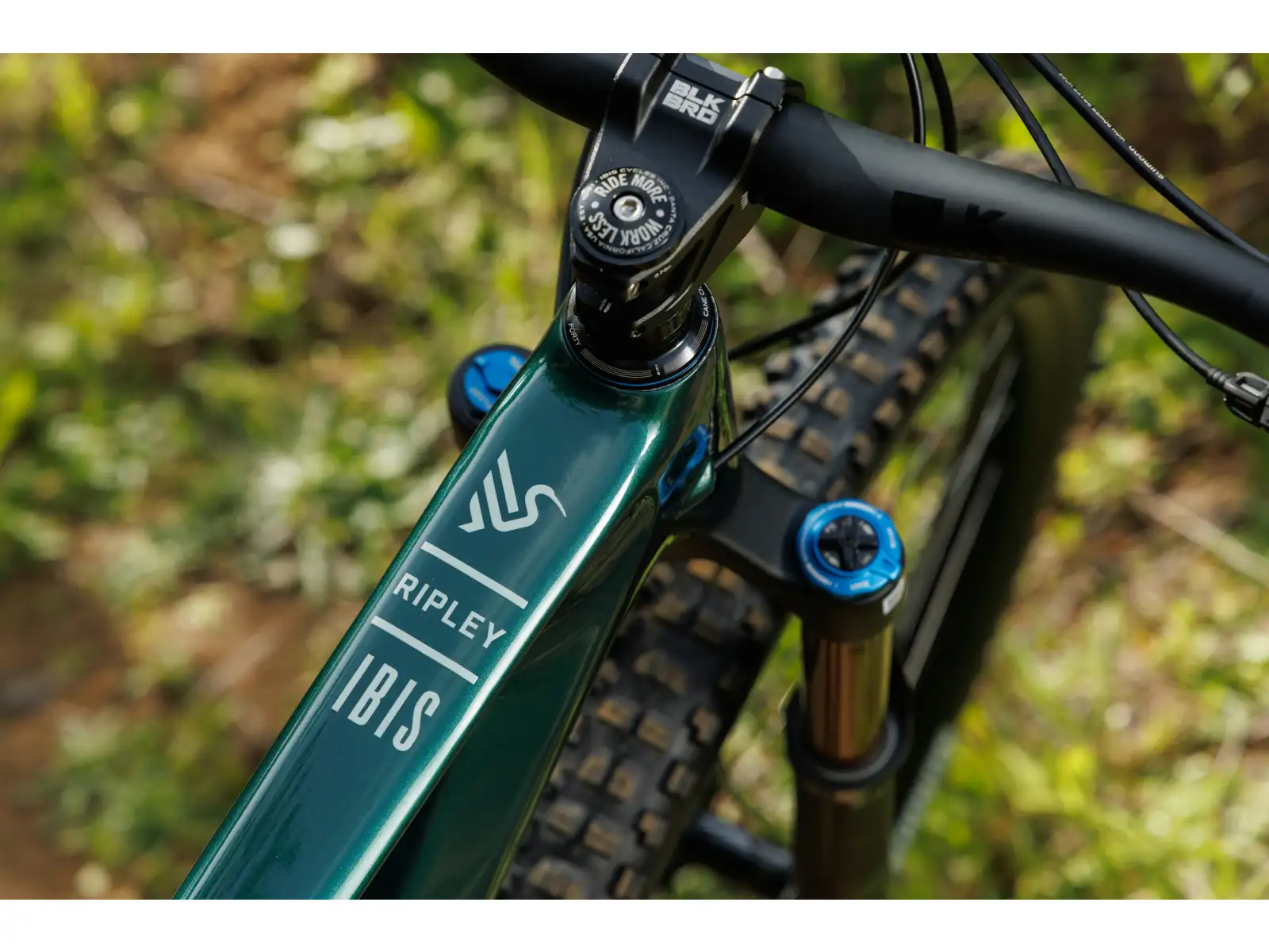 Ibis Ripley V5 GX T-Type AXS horské kolo Green Flash