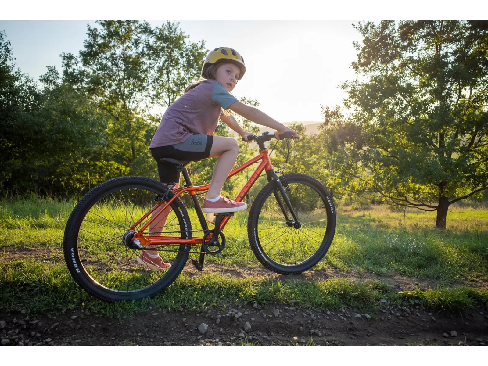Rascal 26 7 sp. Shimano Nexus dětské kolo Flame