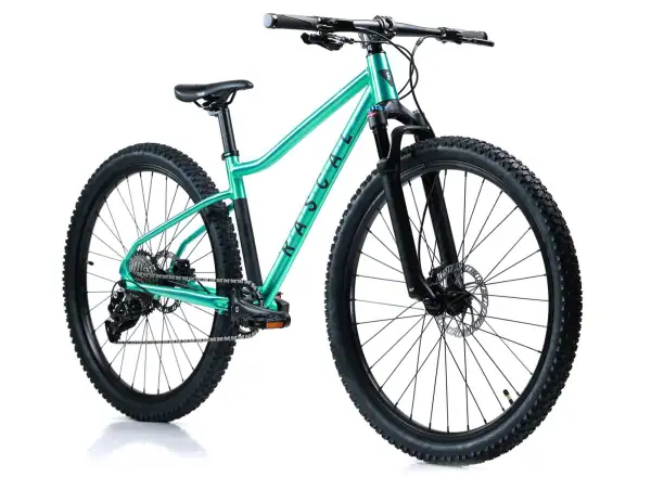 Rascal Wild 29 dětské kolo Emerald