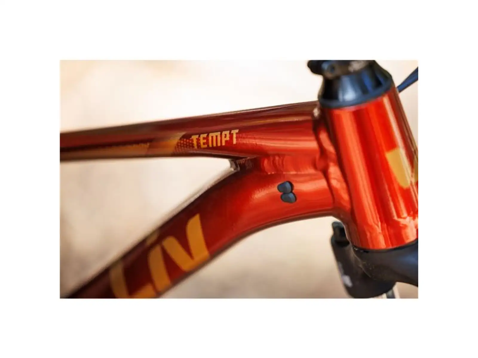 Giant Tempt 29 2 horské kolo Mars Dust
