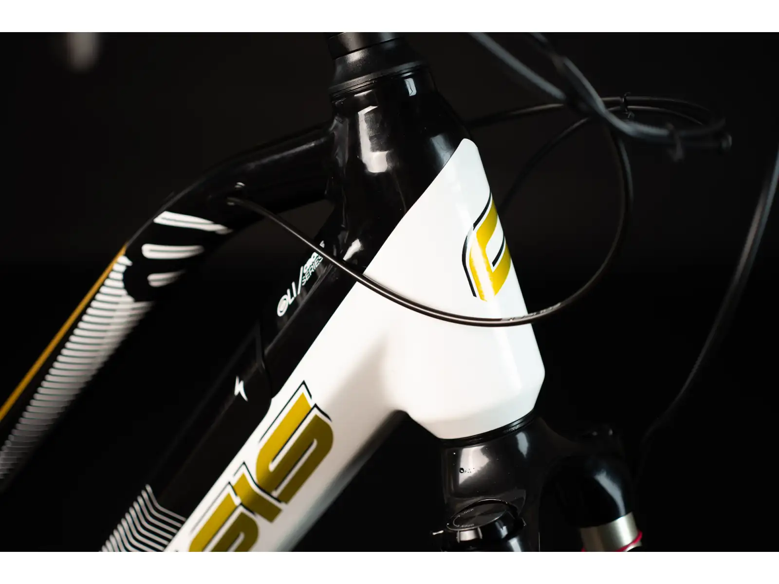 Crussis OLI Cross low 8.8-M krosové elektrokolo